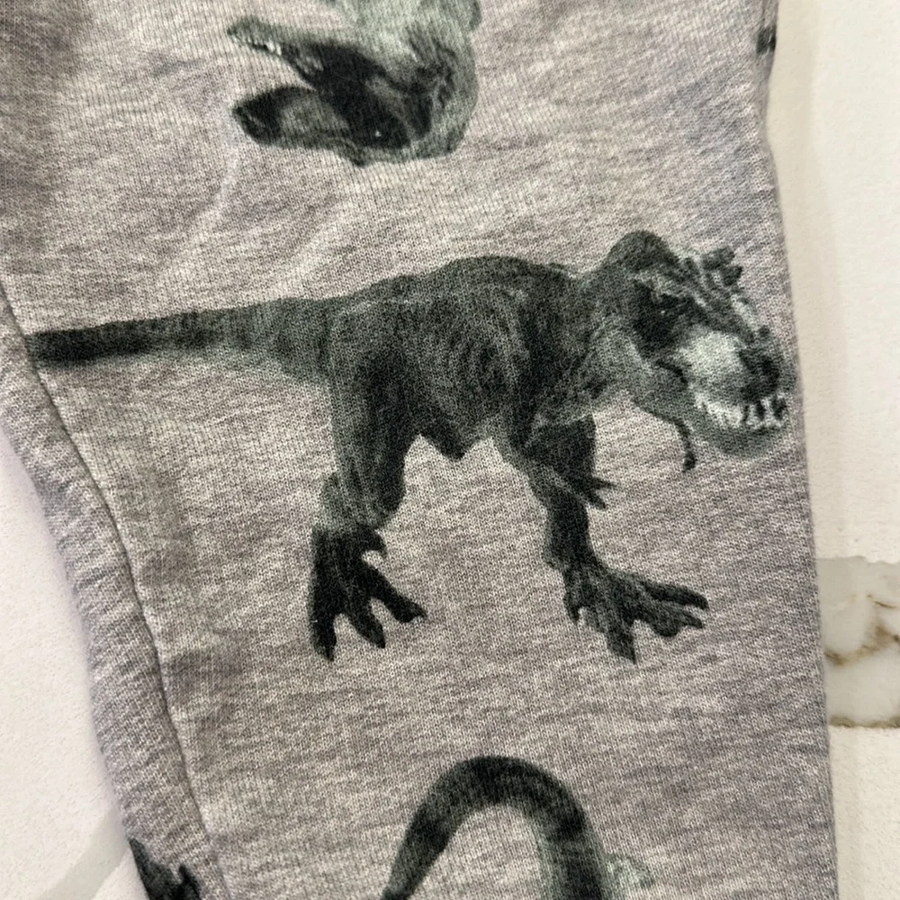 Carter’s gray t-Rex dinosaur jogger sweatpants size 12 months 🦖
